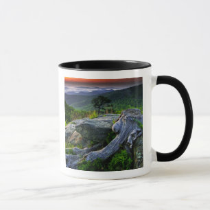 USA, Virginia, Shenandoah National Park. Tasse