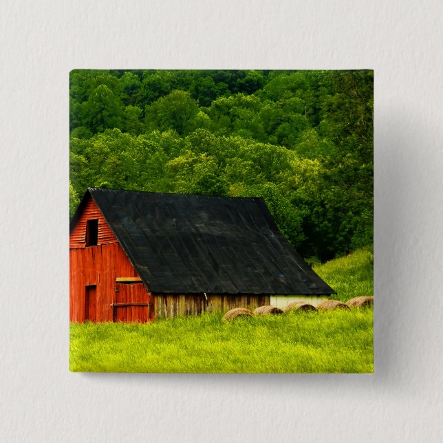 USA, Virginia, Shenandoah Nationalpark, 2 Button (Vorderseite)