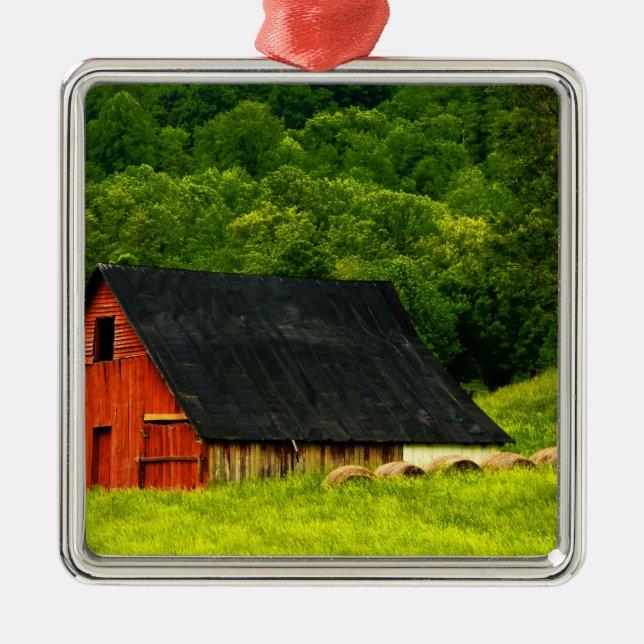USA, Virginia, Shenandoah Nationalpark, 2 Silbernes Ornament (Vorne)