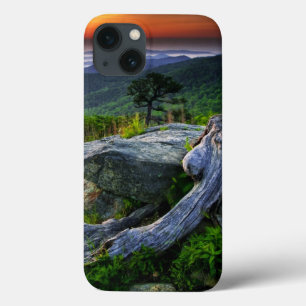 USA, Virginia, Shenandoah-Nationalpark. Case-Mate iPhone Hülle
