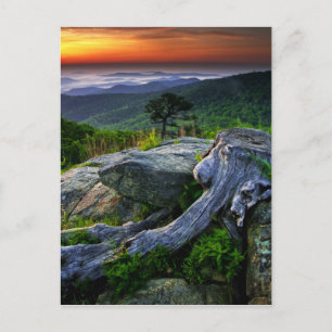 USA, Virginia, Shenandoah-Nationalpark. Postkarte