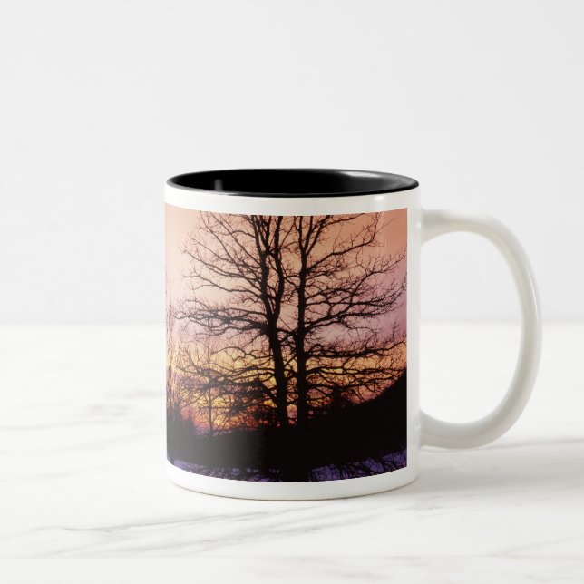 USA, Virginia, Shenandoah-Nationalpark, Zweifarbige Tasse (Rechts)