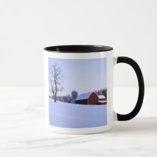 USA, Virginia, Shenandoah Valley, Scheune Tasse