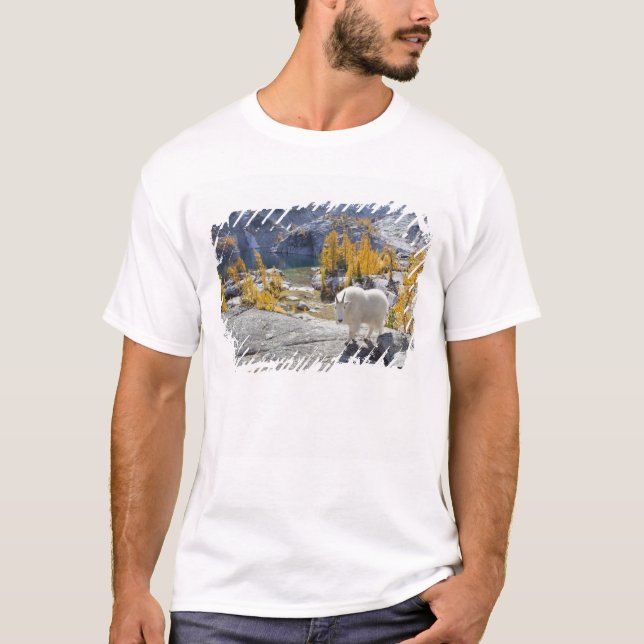 USA, WA, Alpenseen WIlderness-Verzauberungen. T-Shirt (Vorderseite)