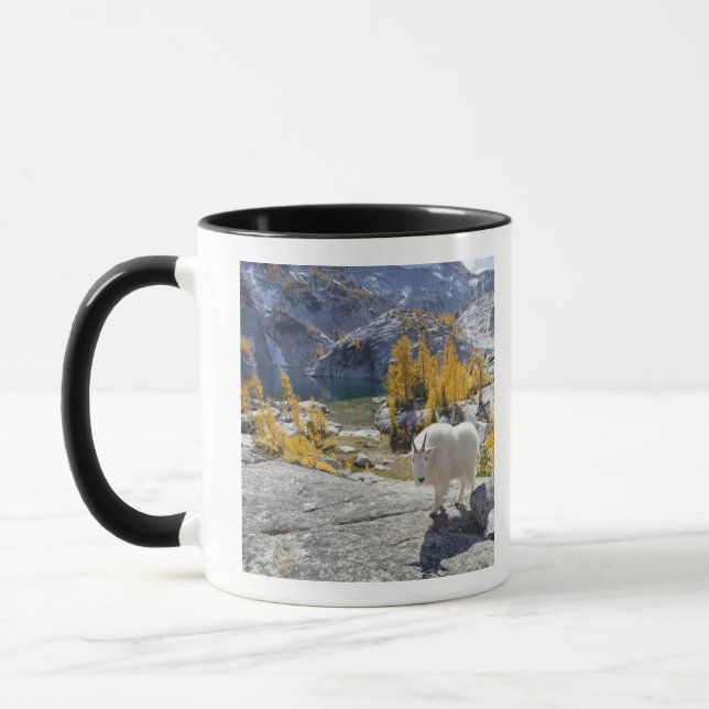 USA, WA, Alpenseen WIlderness-Verzauberungen. Tasse (Links)