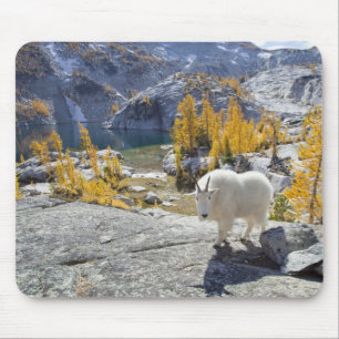 USA, WA, Alpine Lakes WIlderness Enchantments. Mousepad