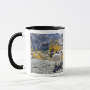 USA, WA, Alpine Lakes WIlderness Enchantments. Tasse