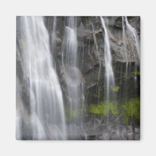 USA, WA, Rainier NP, Narada Falls Magnet