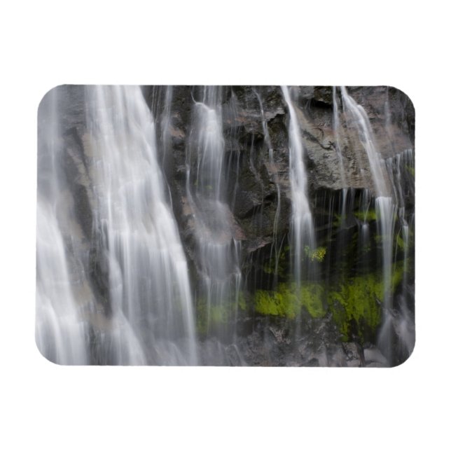 USA, WA, Rainier NP, Narada Falls Magnet (Horizontal)