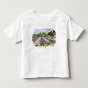 USA, WA, Sequim, Lila Haze Lavender Farm Kleinkind T-shirt
