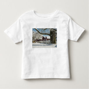 USA, WA, Whidbey Island. 2 Kleinkind T-shirt