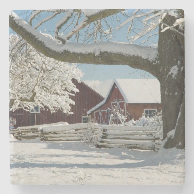 USA, WA, Whidbey Island. 2 Steinuntersetzer (Vorderseite)