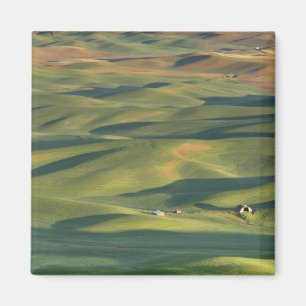 USA, WA, Whitman Co., Palouse Farm Fields from Magnet