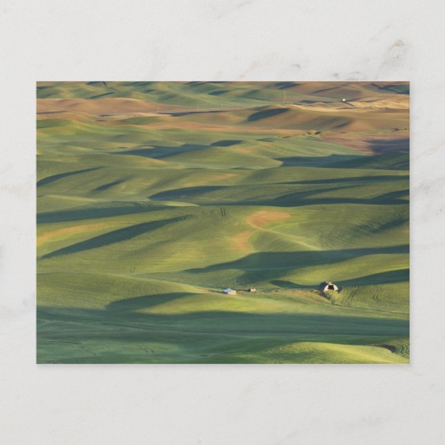 USA, WA, Whitman Co., Palouse Farm Fields from Postkarte (Vorderseite)