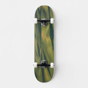 USA, WA, Whitman Co., Palouse-Farmfelder von Skateboard