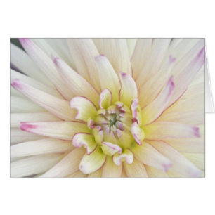 USA, Washington, Bellevue, Bellevue Botanical 2