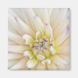 USA, Washington, Bellevue, Bellevue Botanical 2 Magnet