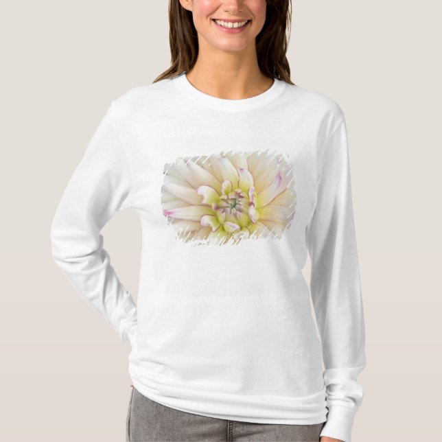 USA, Washington, Bellevue, Bellevue Botanical 2 T-Shirt (Vorderseite)