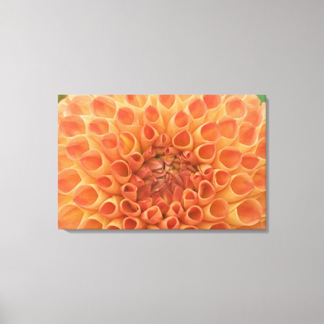 USA, Washington, Bellevue, Bellevue Botanical 3 Leinwanddruck (Vorderseite)