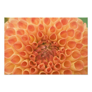 USA, Washington, Bellevue, Bellevuer Botanischer G Fotodruck