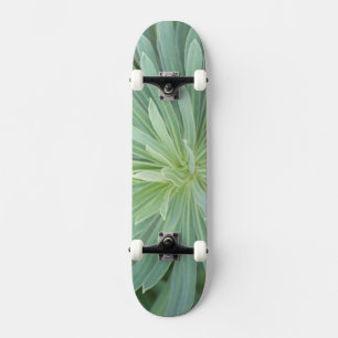 USA, Washington, Bellevue, Bellevuer Botanischer G Skateboard