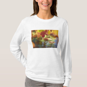 USA, Washington, Bellingham, Nahaufnahme des Herbs T-Shirt
