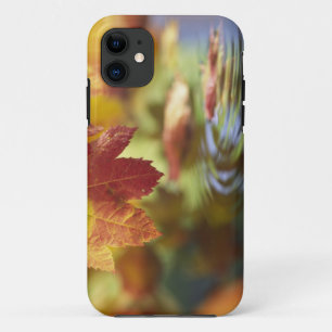 USA, Washington, Bellingham, Naher Herbstbeginn Case-Mate iPhone Hülle