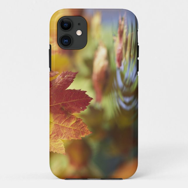USA, Washington, Bellingham, Naher Herbstbeginn Case-Mate iPhone Hülle (Rückseite)