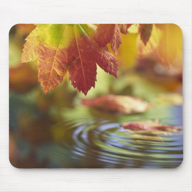 USA, Washington, Bellingham, Naher Herbstbeginn Mousepad (Vorne)