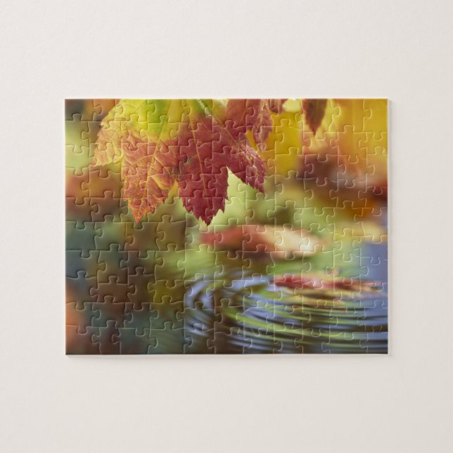 USA, Washington, Bellingham, Naher Herbstbeginn Puzzle (Horizontal)