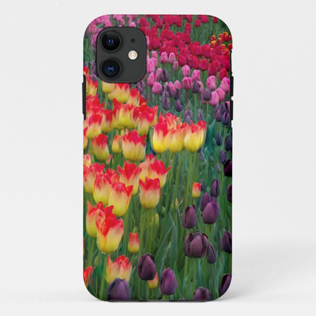 USA, Washington. Blühende Tulips 2 Case-Mate iPhone Hülle (Rückseite)