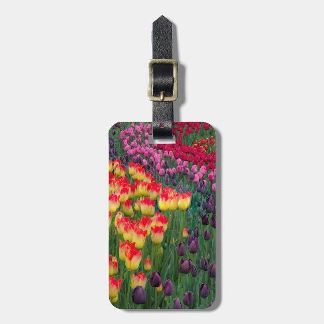 USA, Washington. Blühende Tulips 2 Gepäckanhänger (Vorderseite vertikal)