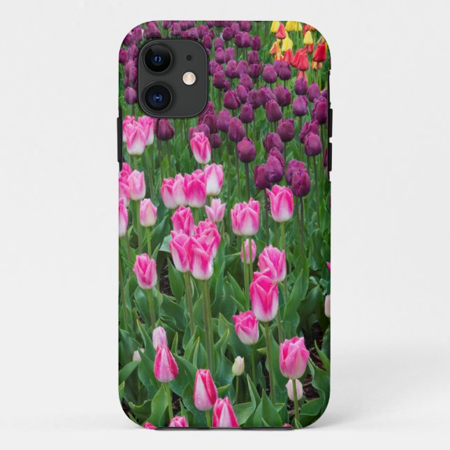 USA, Washington. Blühende Tulips Case-Mate iPhone Hülle (Rückseite)
