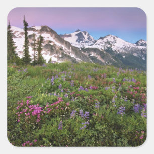 USA, Washington, Cascade Mountains, Nord Quadratischer Aufkleber