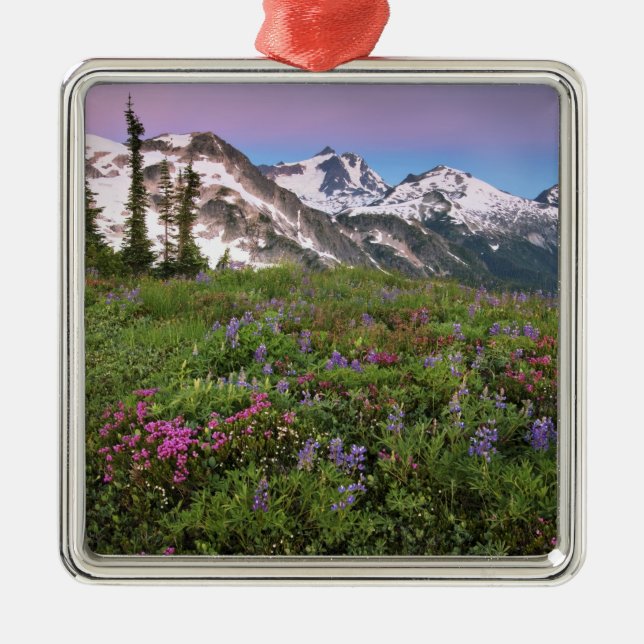 USA, Washington, Cascade Mountains, Nord Silbernes Ornament (Vorne)