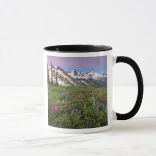 USA, Washington, Cascade Mountains, Nord Tasse