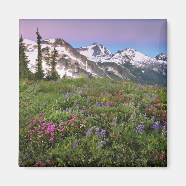 USA, Washington, Cascade Mountains, North Magnet (Vorne)