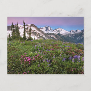 USA, Washington, Cascade Mountains, North Postkarte