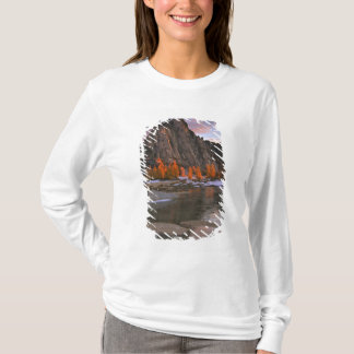 USA, Washington, Cascade Mountains. Prusikspitze T-Shirt