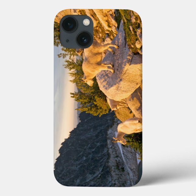USA, Washington, Cascade Range 4 Case-Mate iPhone Hülle (Rückseite)