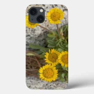 USA, Washington, Cascade Range 5 Case-Mate iPhone Hülle
