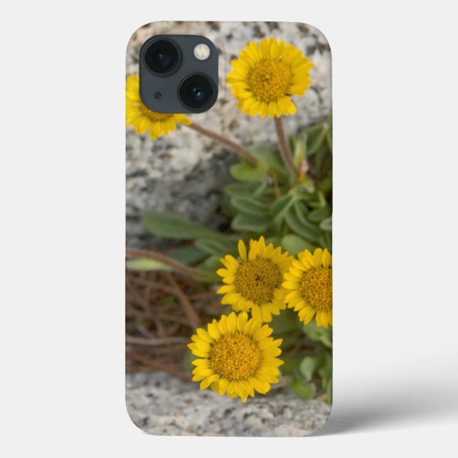 USA, Washington, Cascade Range 5 Case-Mate iPhone Hülle (Rückseite)