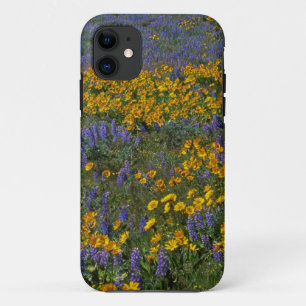 USA, Washington, Columbia River Gorge National Case-Mate iPhone Hülle