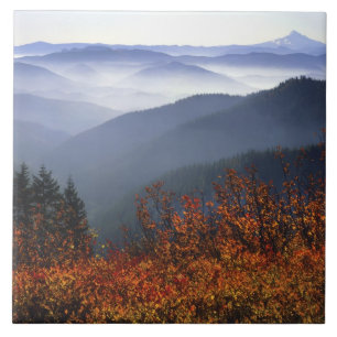 USA, Washington, Columbia River Gorge National Fliese