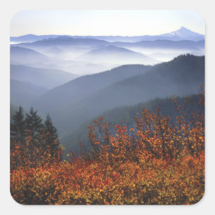 USA, Washington, Columbia River Gorge National Quadratischer Aufkleber