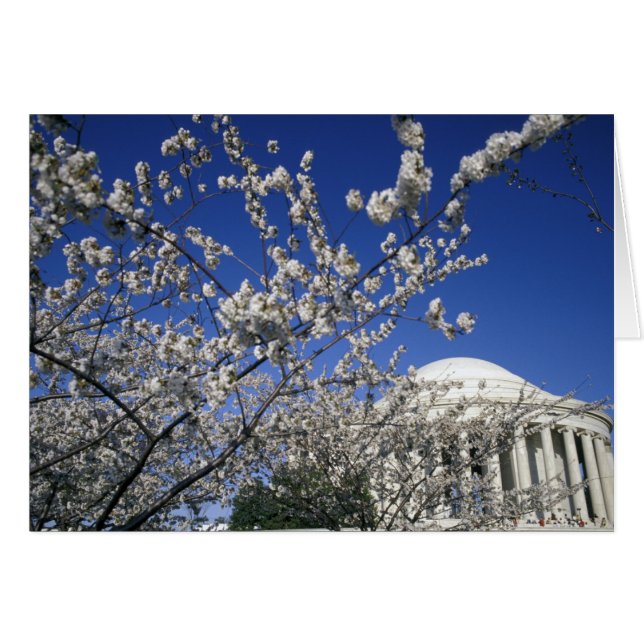USA, Washington DC. Cherry Blossom Festival und 2 (Vorderseite (Horizontal))
