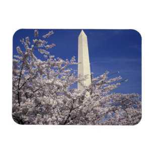 USA, Washington DC. Cherry Blossom Festival und Magnet