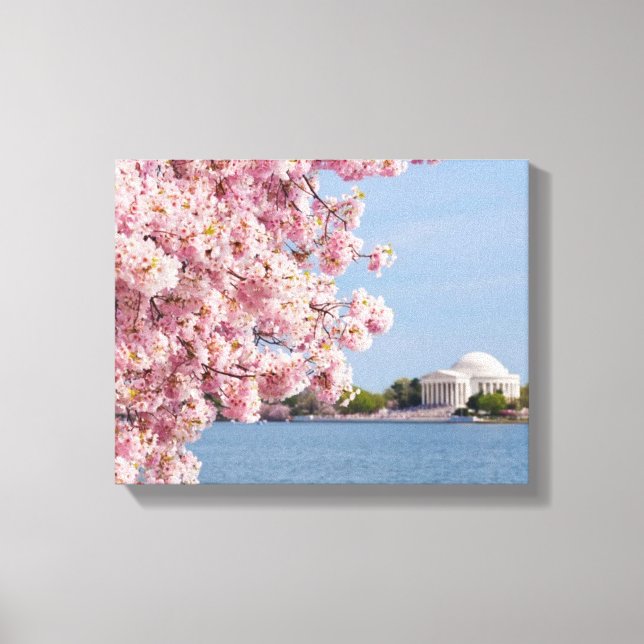 USA, Washington DC, Cherry Tree Leinwanddruck (Vorderseite)