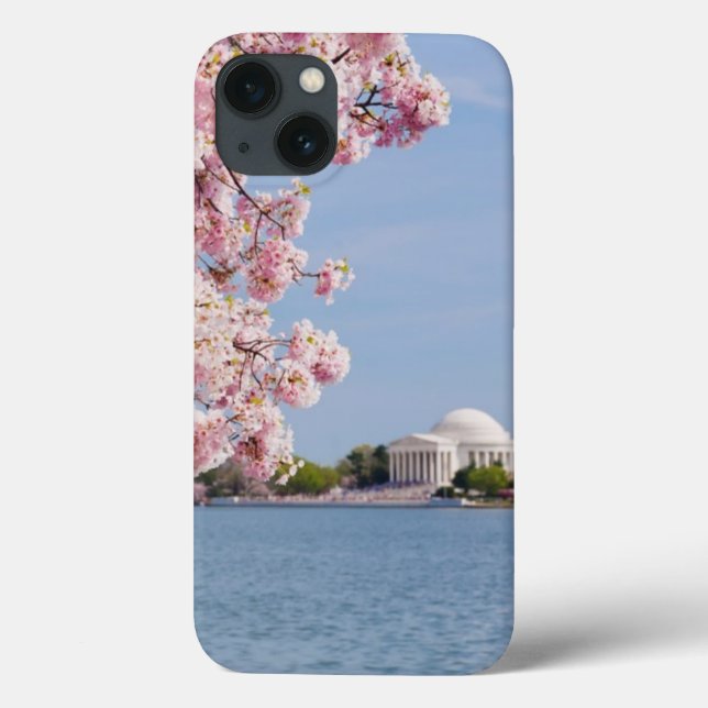 USA, Washington DC, Kirschbaum Case-Mate iPhone Hülle (Rückseite)