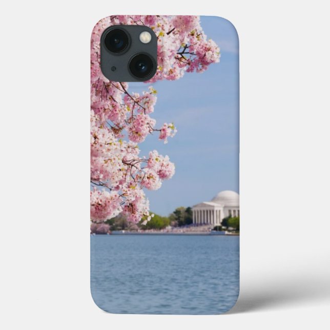 USA, Washington DC, Kirschbaum Case-Mate iPhone Hülle (Rückseite)